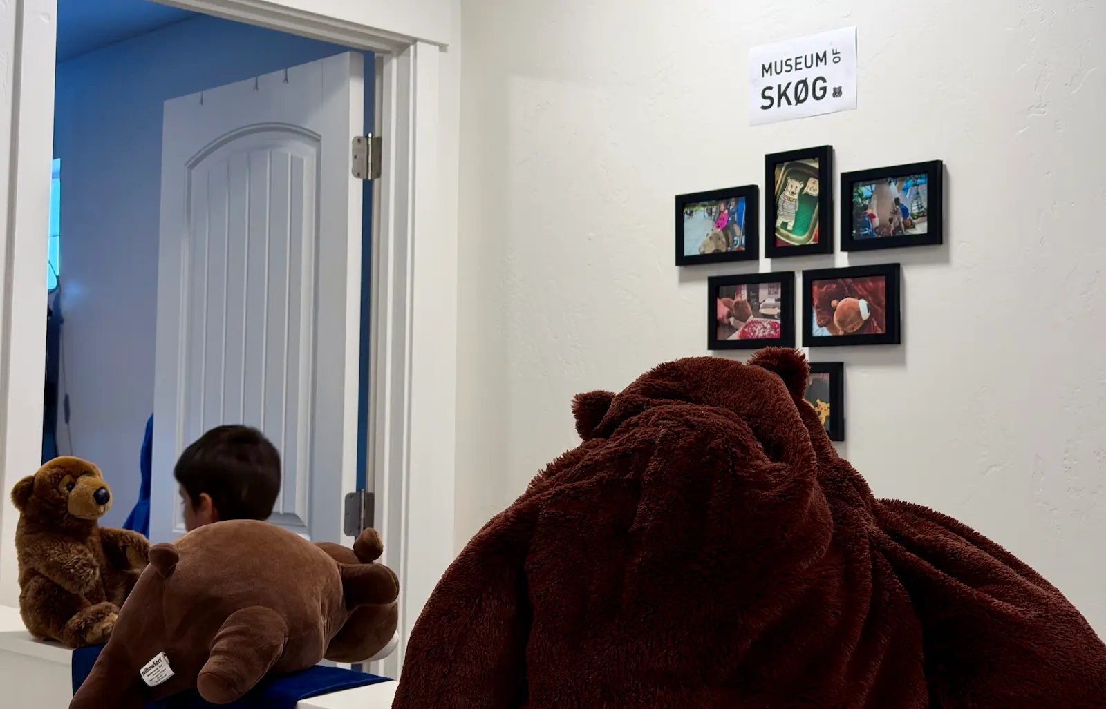 Five framed photos of various bear stuffed animal toys.