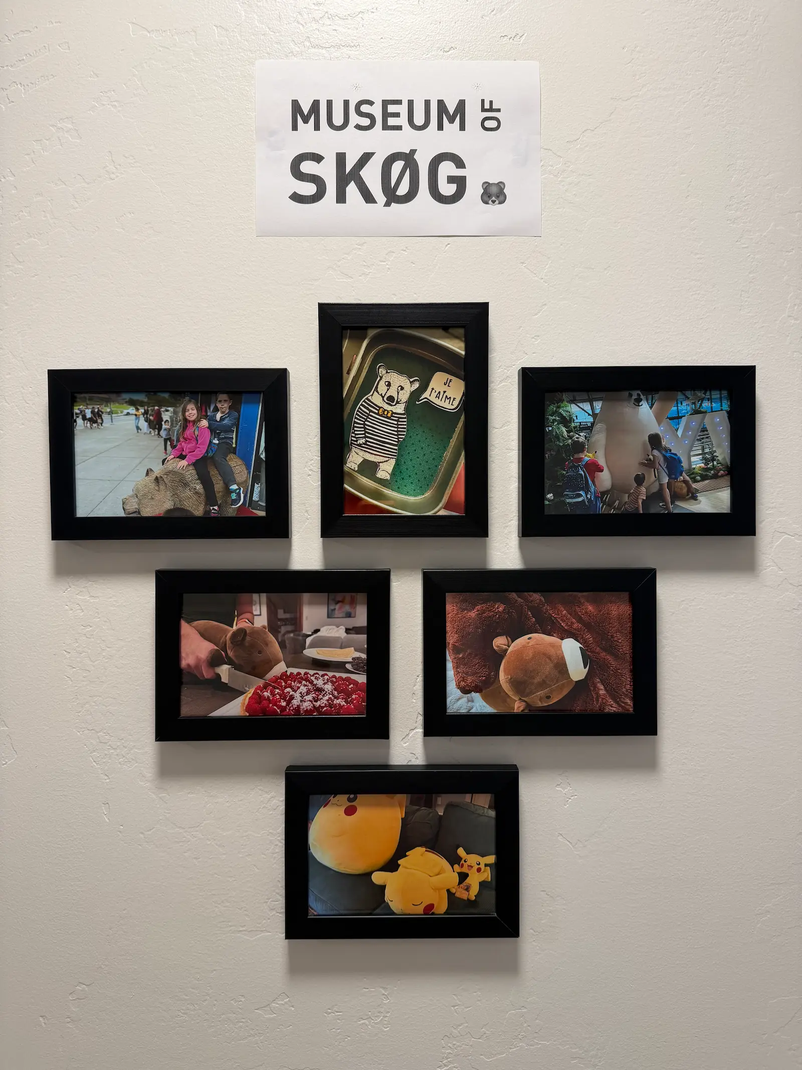 Five framed photos of various bear stuffed animal toys.